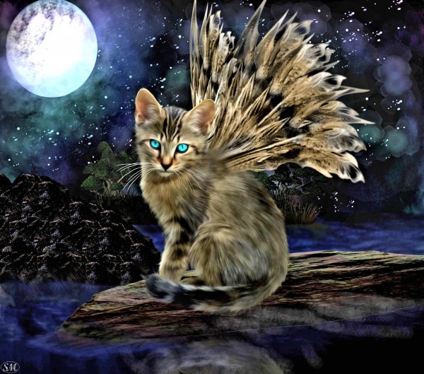 Fuzzy Fairy by The Art Of Fantasy