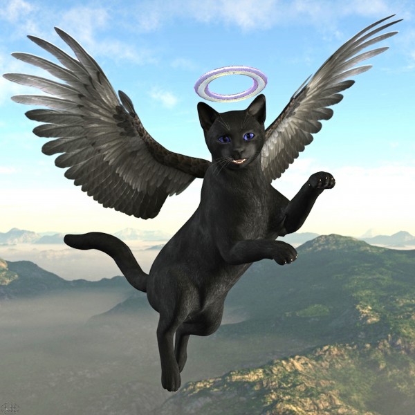 Good Cat by The Art Of Fantasy