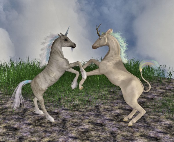 Pony Play by The Art Of Fantasy