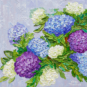 colorful hydrangeas