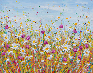 wild daisy field 