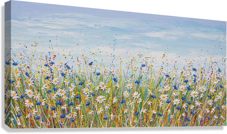 Cornflower Daisy Field  Canvas Print