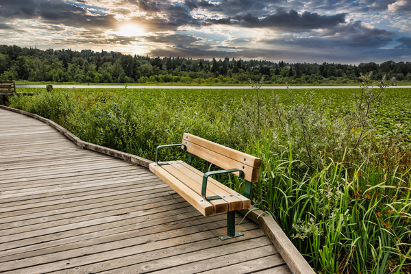 Recreational place with new wooden bench on Burnaby lake by ImageNet