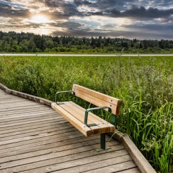 Recreational place with new wooden bench on Burnaby lake