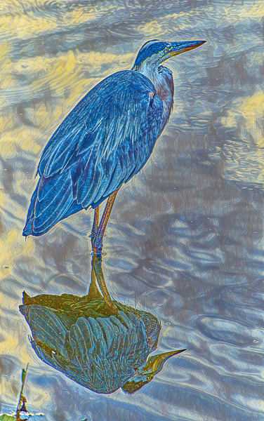 Impressionistic Great Blue Heron Print