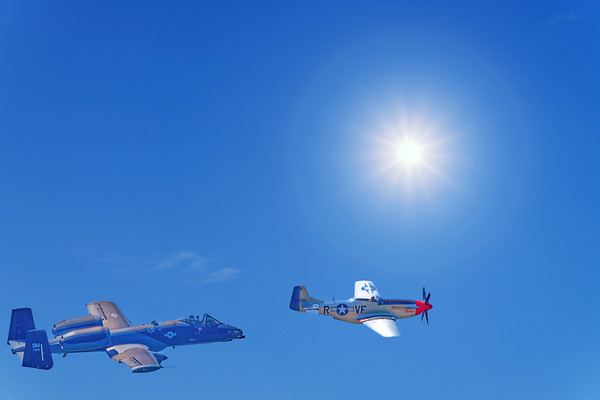 Warthog and Texan  Print
