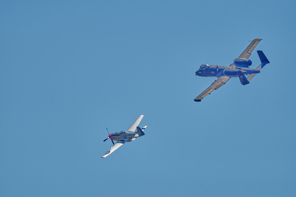 A10 Warthog & P51 Mustang- 1 Print
