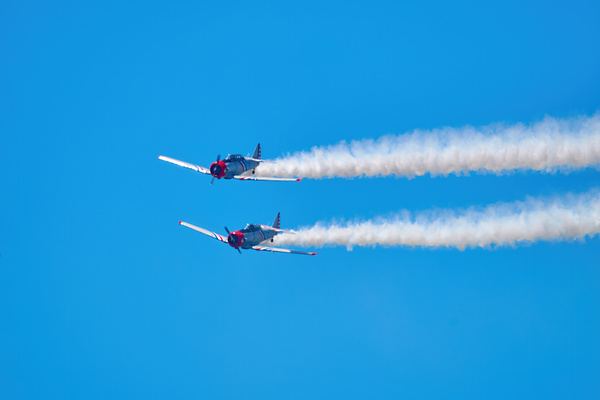 AT-6 Texans - 1 Print