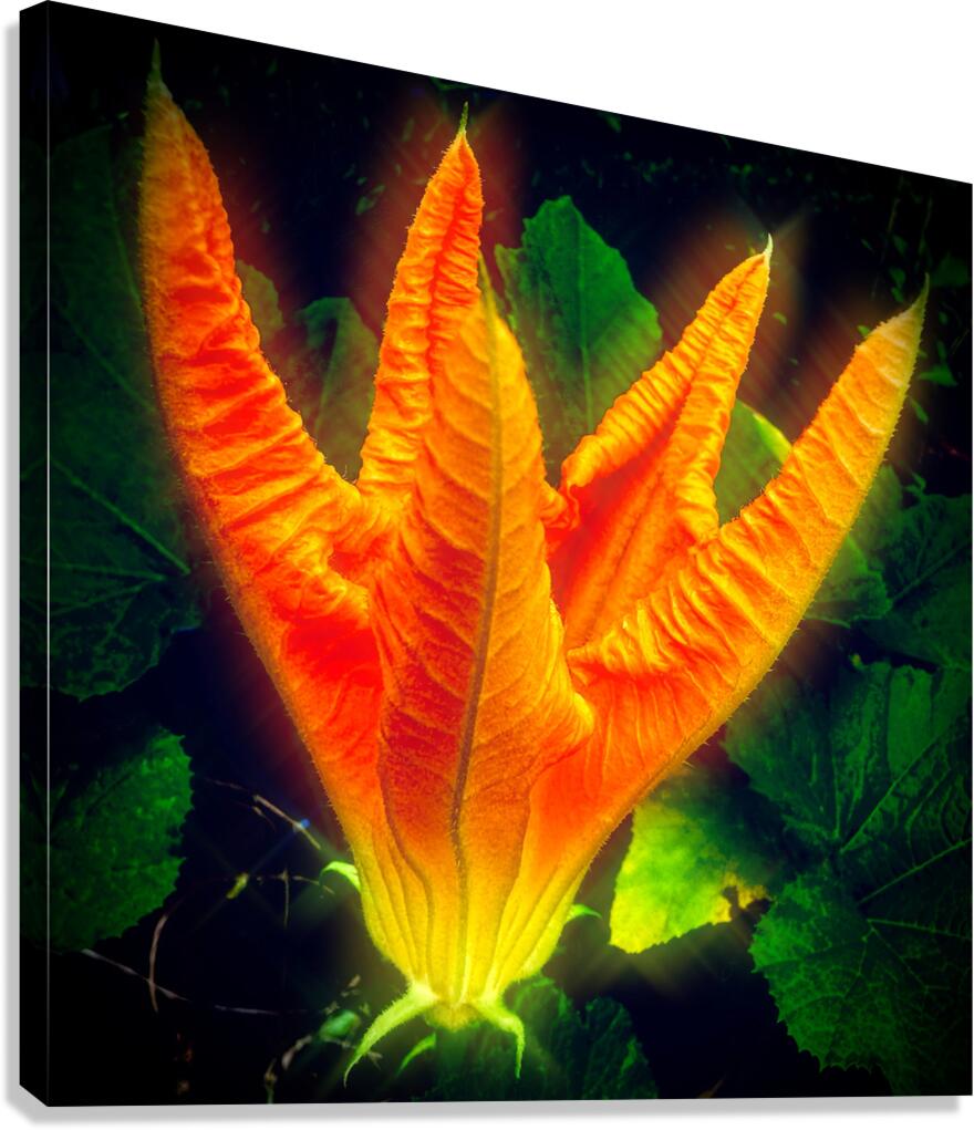 Phoenix Flower Canvas Print