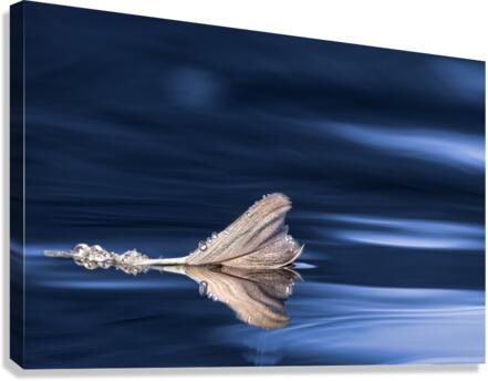 BlueFeather Canvas Print