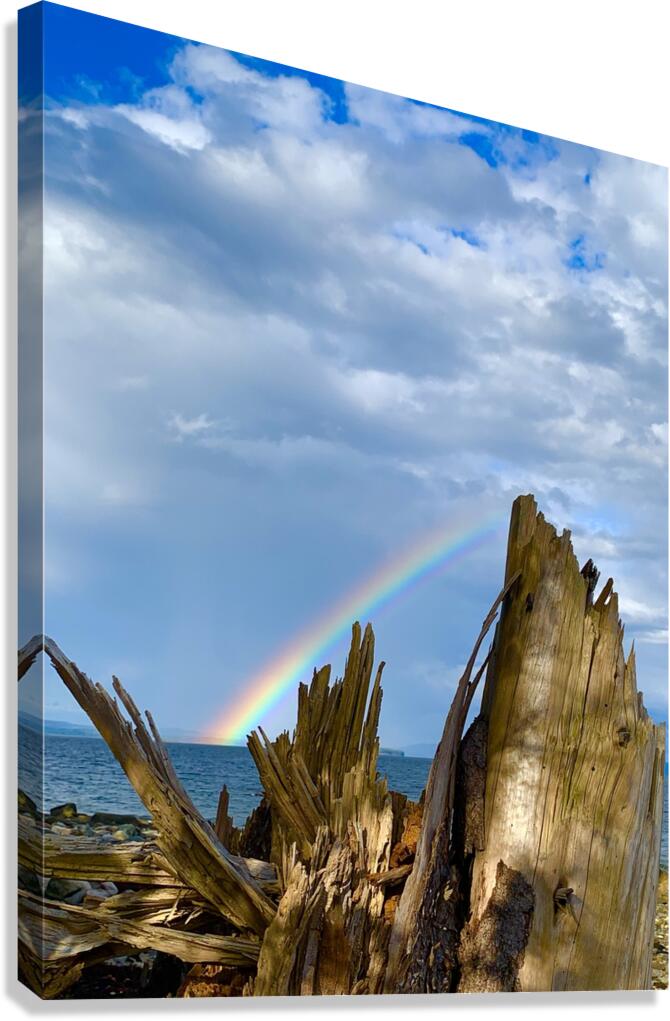 Rainbow Drift Canvas Print