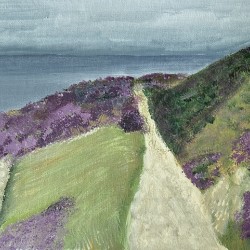 Cliff walk - Howth