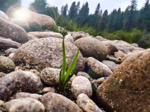 Pack River Rocks