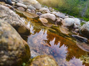Reflection On Pack River