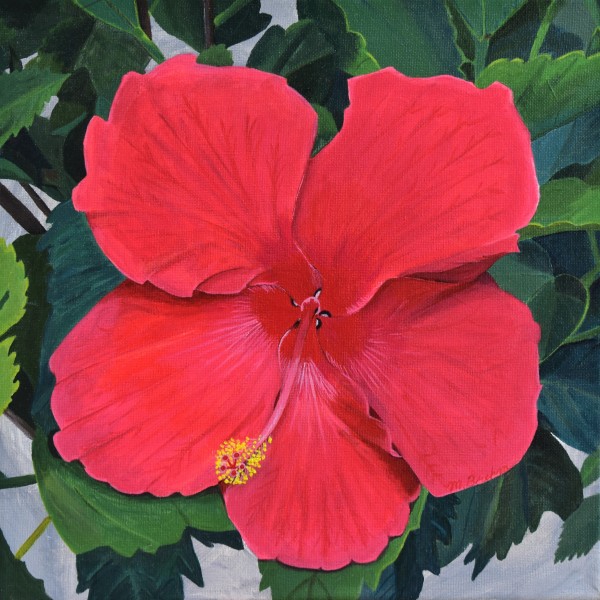 hibiscus Print