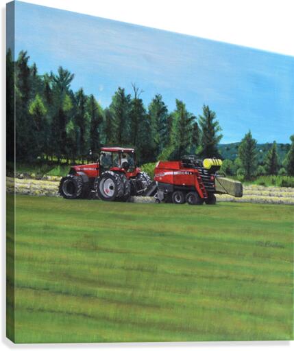 balinghay Canvas Print