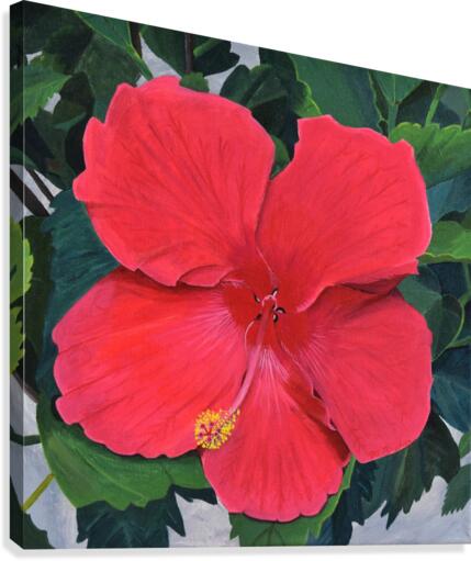 hibiscus Canvas Print