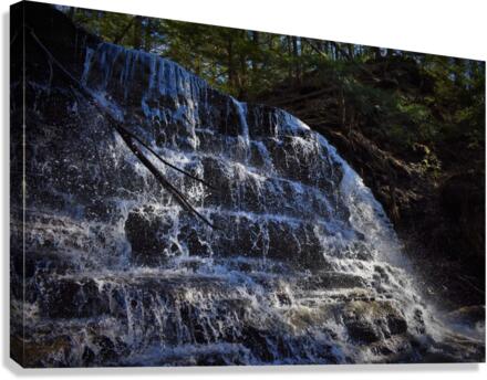 Waterfall1 Canvas Print