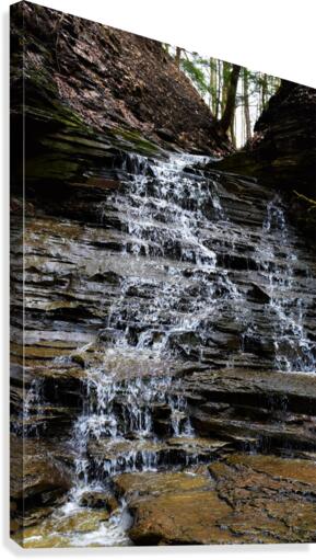 Tall falls Canvas Print