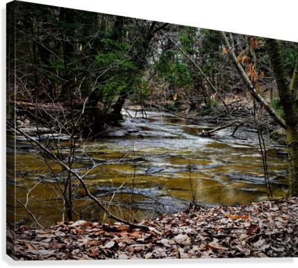 Creek Canvas Print
