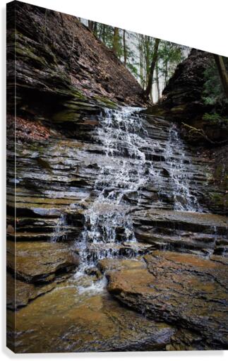 Long falls Canvas Print