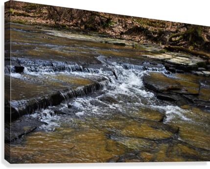 Creek Canvas Print