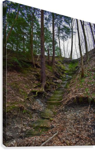 Cliff Canvas Print