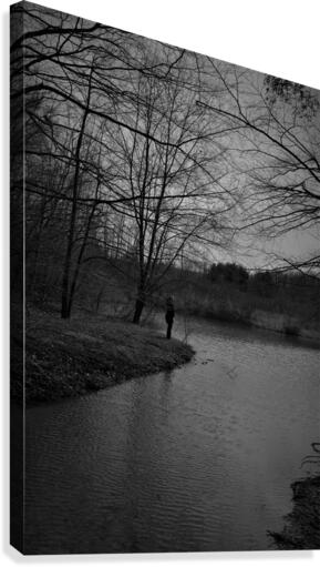Reflecting Canvas Print