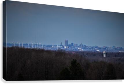 Buffalo Canvas Print