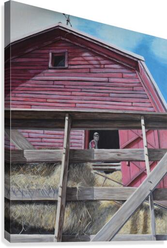 Hay barn Canvas Print