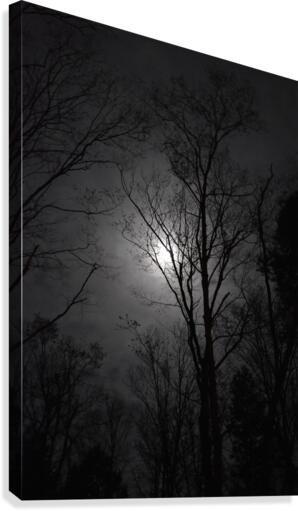 midnight moon Canvas Print
