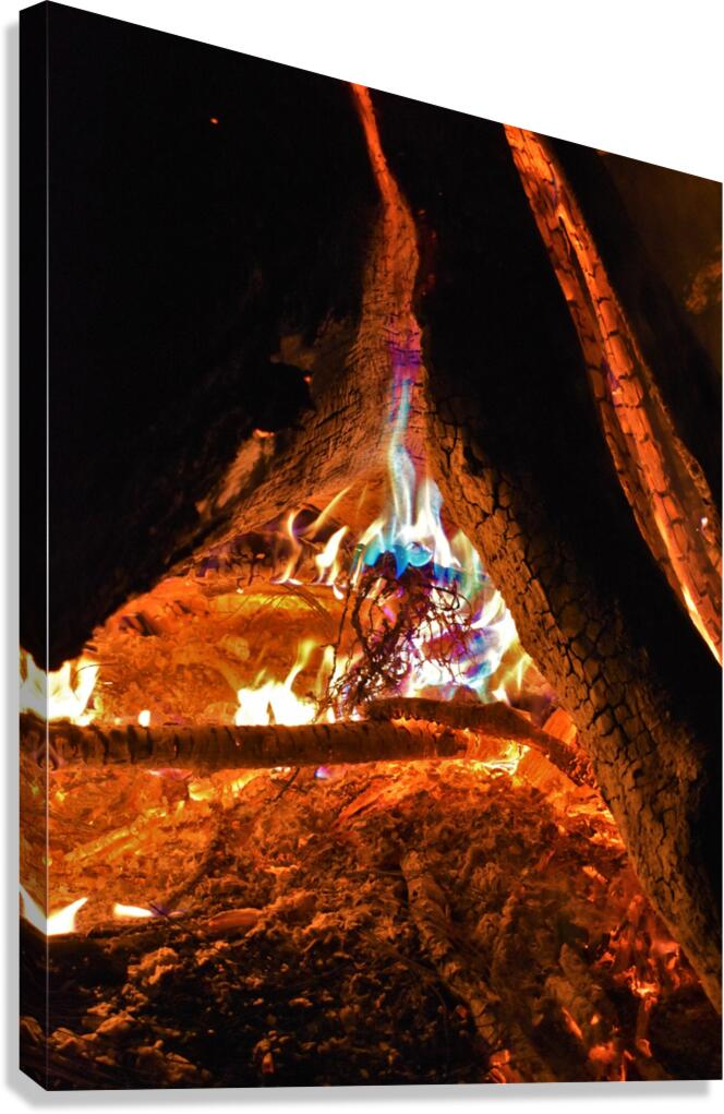 fire Canvas Print