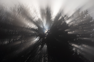Light 2