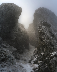 Mountain 16
