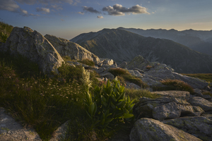 Mountain 22