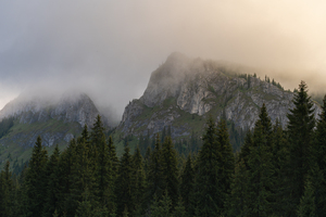 Mountain 8