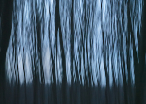 abstract nature 1 W