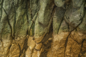abstract nature 3 