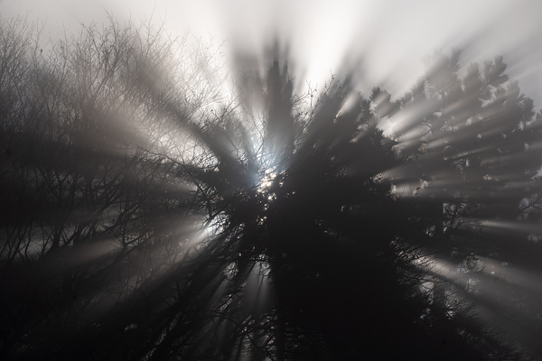 Light 2 Print