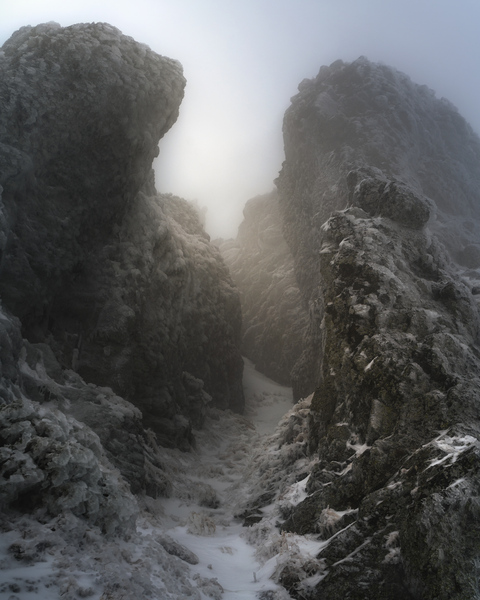 Mountain 16 Print