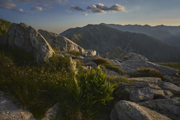 Mountain 22 Print
