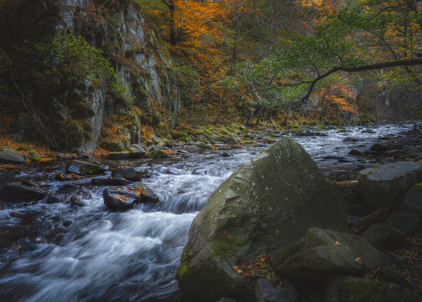 River 3 W Print