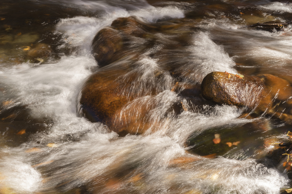 River 4 W Print