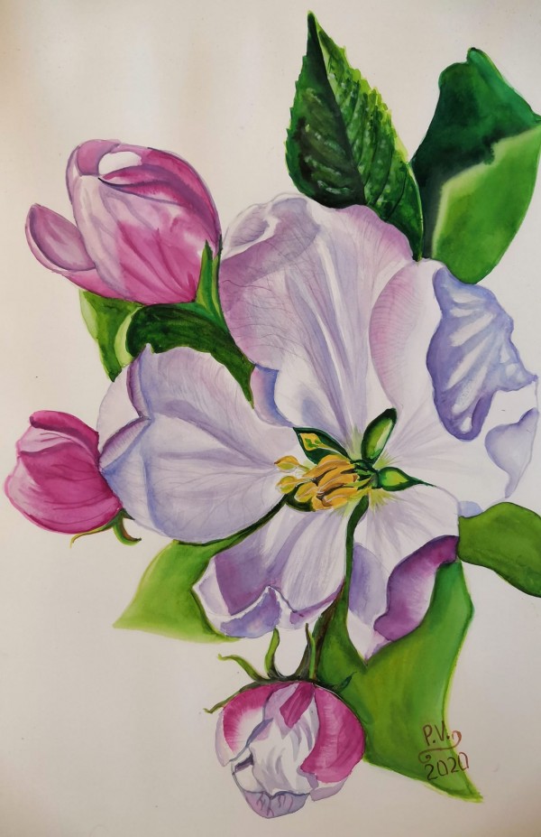 Appleblossom Print