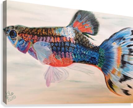 Guppy Canvas Print