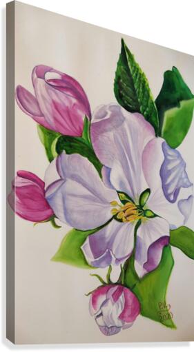 Appleblossom Canvas Print