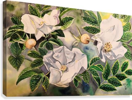 Wild Rose Canvas Print