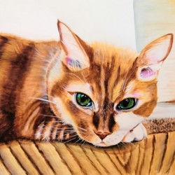 Cat On Quarantine