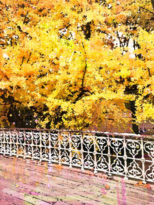 Central Park Fall Colors