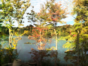 Reflections Print